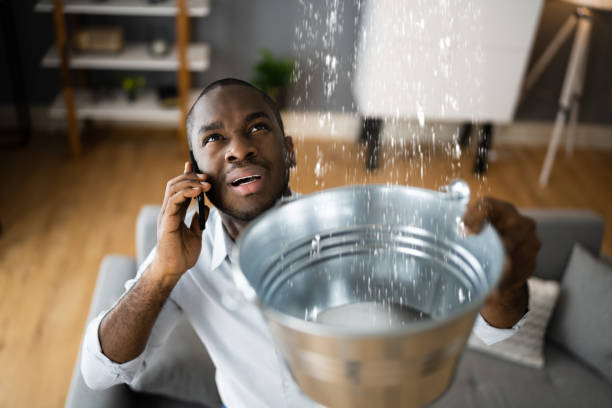 Best Flood damage cleanup  in St Paul, NE