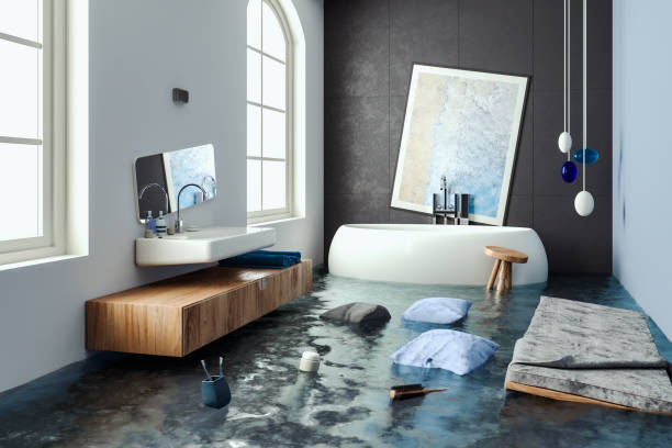 Best Carpet water damage restoration  in St Paul, NE