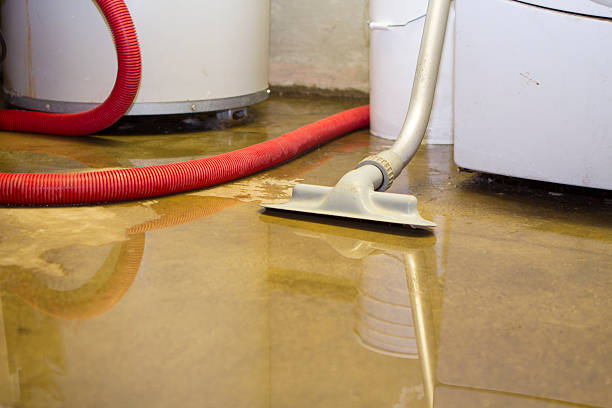 Best Water damage contractors near me  in St Paul, NE