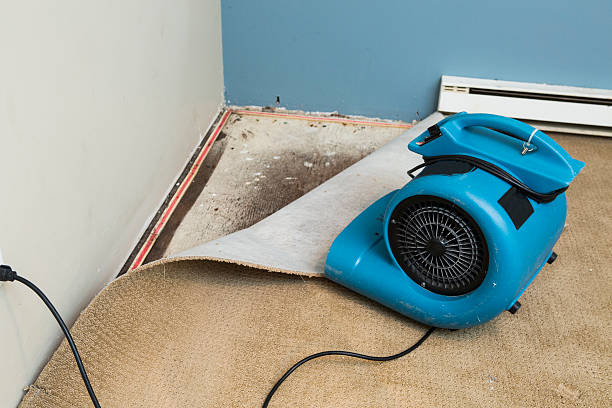 Water damage restoration insurance claims in St Paul, NE